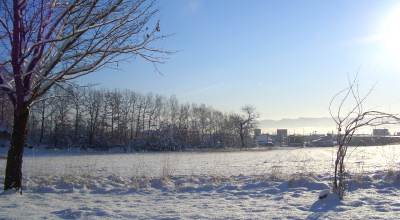 12/12:北見工大近辺の朝の雪景色 12/12:北見工大近辺の朝の雪景色