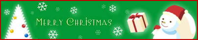 12/25:メリークリスマス 12/25:メリークリスマス