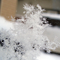 03/02：雪の結晶
