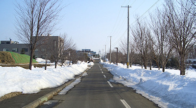 03/17:オホブラ百貨店の事務所の駐車場横の道 03/17:オホブラ百貨店の事務所の駐車場横の道