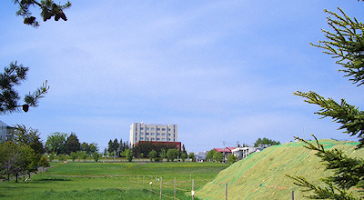 05/27FIzuSݓX̎̒ԏꂩ猩kH