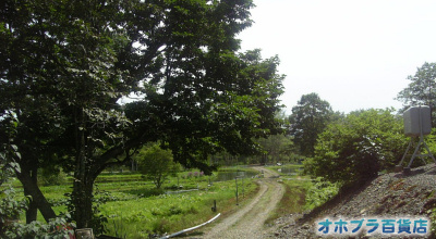 成田養魚場(河東郡士幌町) 成田養魚場(河東郡士幌町)