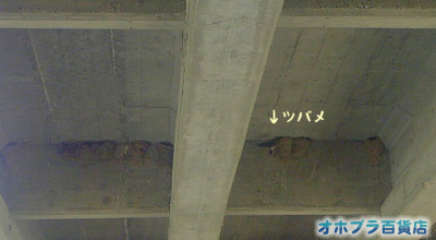 成田養魚場(河東郡士幌町) 成田養魚場(河東郡士幌町)