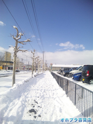 3/8:オホブラ百貨店・南大通りの歩道 3/8:オホブラ百貨店・南大通りの歩道