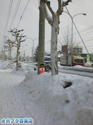 1/25:オホブラ百貨店・今朝の北見市 1/25:オホブラ百貨店・今朝の北見市