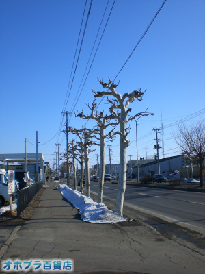 3/27:オホブラ百貨店・今朝の北見市 3/27:オホブラ百貨店・今朝の北見市