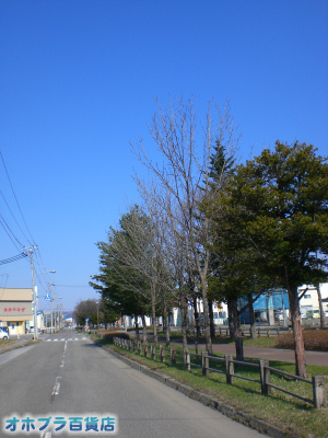 4/23:オホブラ百貨店・今朝の北見市 4/23:オホブラ百貨店・今朝の北見市
