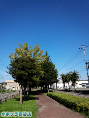 9/11:オホブラ百貨店・今朝の北見 9/11:オホブラ百貨店・今朝の北見