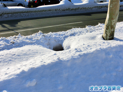 2/14:オホブラ百貨店・今朝の北見市 2/14:オホブラ百貨店・今朝の北見市