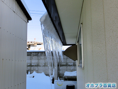 2/14:オホブラ百貨店・今朝の北見市 2/14:オホブラ百貨店・今朝の北見市