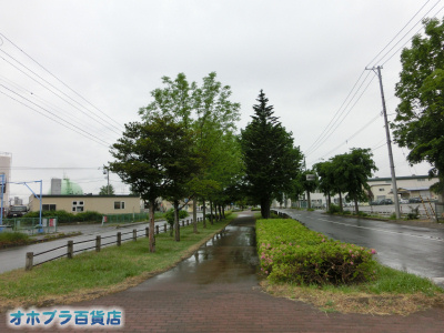 6/9FIzuSݓXE̖ks