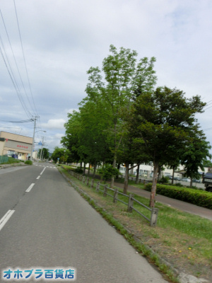 6/10FIzuSݓXE̖ks