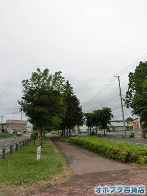 6/12FIzuSݓXE̖ks
