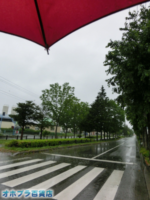 6/13FIzuSݓXE̖ks