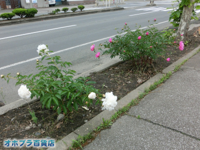 6/16FIzuSݓXE̖ks
