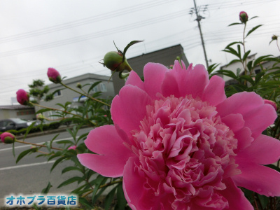 6/16FIzuSݓXE̖ks