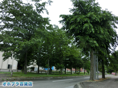 6/18FIzuSݓXE̖ks