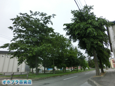 6/19FIzuSݓXE̖ks