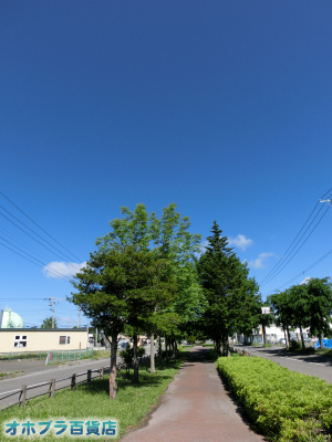 6/24FIzuSݓXE̖ks