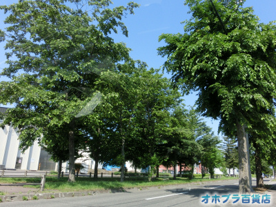 6/25FIzuSݓXE̖ks