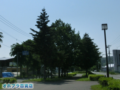 6/25FIzuSݓXE̖ks