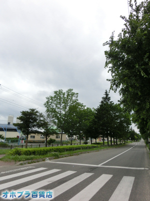 6/30FIzuSݓXE̖ks