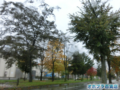10/14IzuSݓXE̖ks