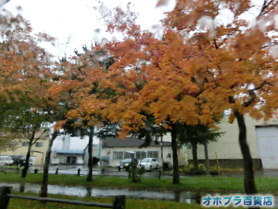 10/14FIzuSݓXE̖ks