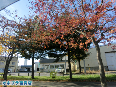10/24FIzuSݓXE̖ks