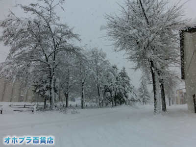 12/17IzuSݓXE̖ks