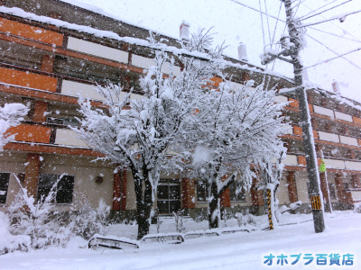 12/17FIzuSݓXE̖ks