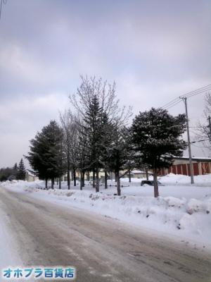 1/15FIzuSݓXE̖ks