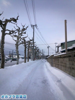 1/20FIzuSݓXE̖ks