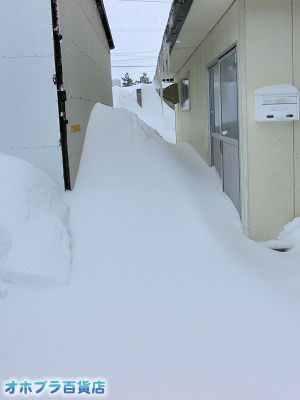 2/16FIzuSݓXE̖ks