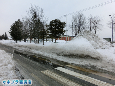 2/19FIzuSݓXE̖ks