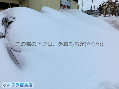 2/19FIzuSݓXE̖ks