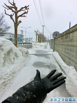 2/27FIzuSݓXE̖ks