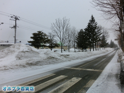 2/27FIzuSݓXE̖ks