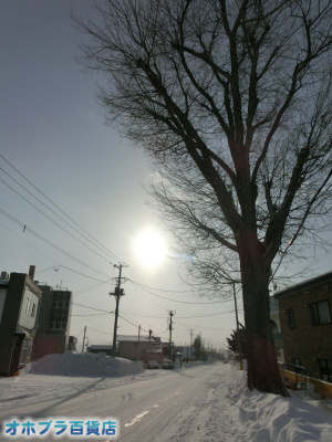 2/8FIzuSݓXE̖ks