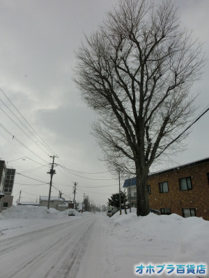 2/24FIzuSݓXE̖ks