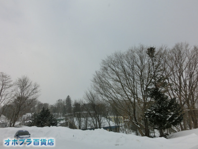 2/19FIzuSݓXE̖ks