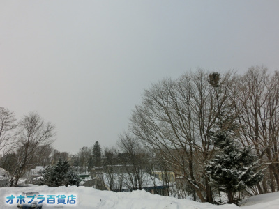 2/26FIzuSݓXE̖ks