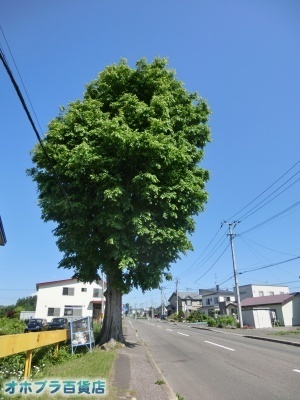 6/29FIzuSݓXE̖ks