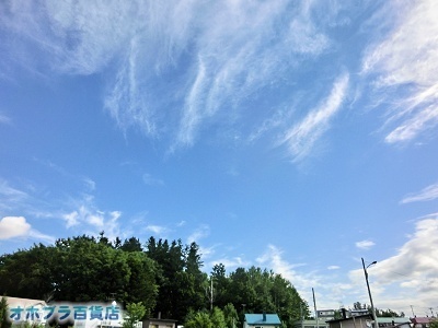 8/5FIzuSݓXE̖ks