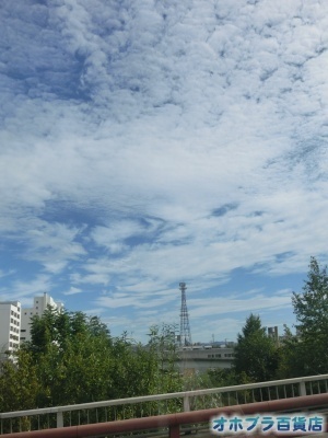 8/22FIzuSݓXE̖ks