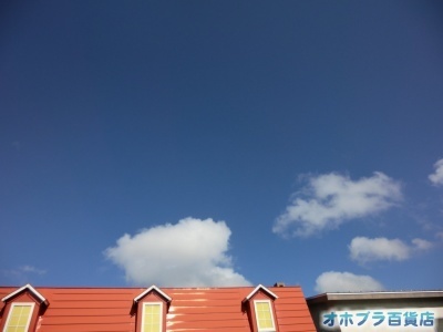 8/24FIzuSݓXE̖ks