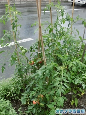 8/26FIzuSݓXE̖ks