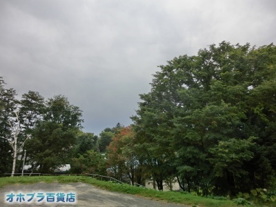 10/3FIzuSݓXE̖ks