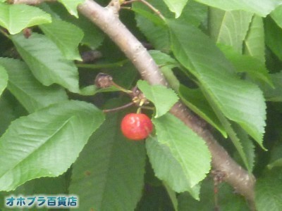 07/10FIzuSݓXE̖ks