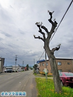 05-25FIzuSݓXE̖ks